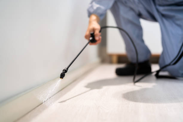 Licensed Cockroach Control service in Rochester, IL - Nex Pest Control