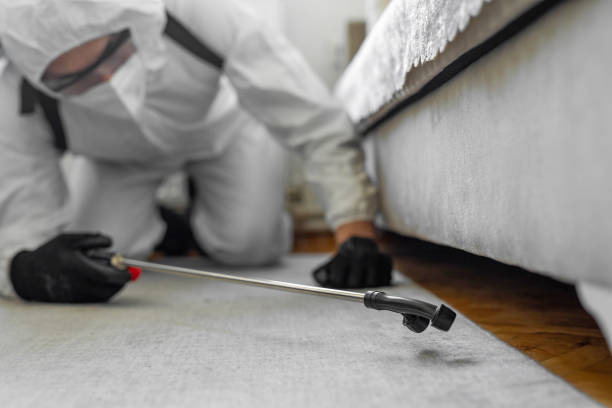 Professional Cockroach Control technician working in Rochester, IL