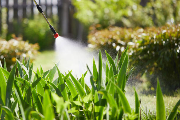 24/7 Emergency Cockroach Control experts in Rochester, IL