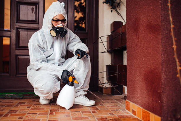 Reliable Cockroach Control contractor in Rochester, IL by Nex Pest Control