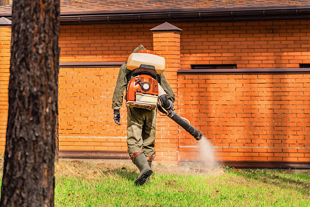 Top rated local Cockroach Control specialists in Rochester, IL